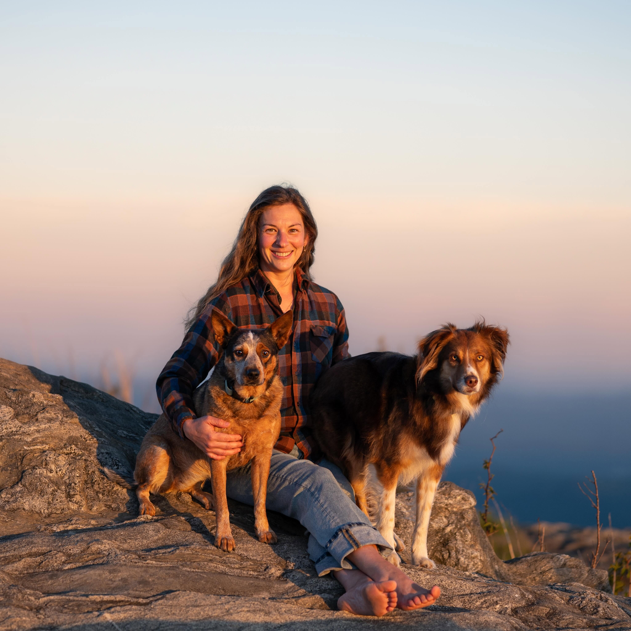 Dog trainer walking two dogs outdoors at sunset